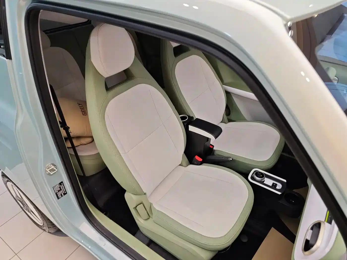 Panda 2025 Panda Mini 210km - Energetic Bear — миниатюра 31