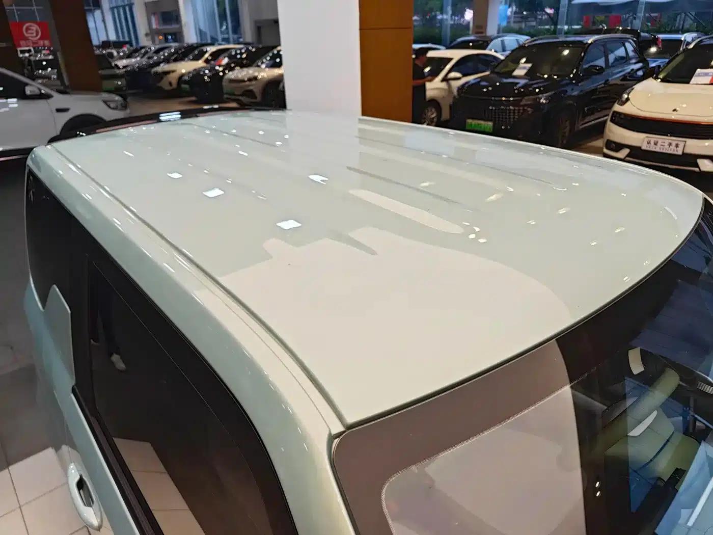 Panda 2025 Panda Mini 210km - Energetic Bear — миниатюра 32