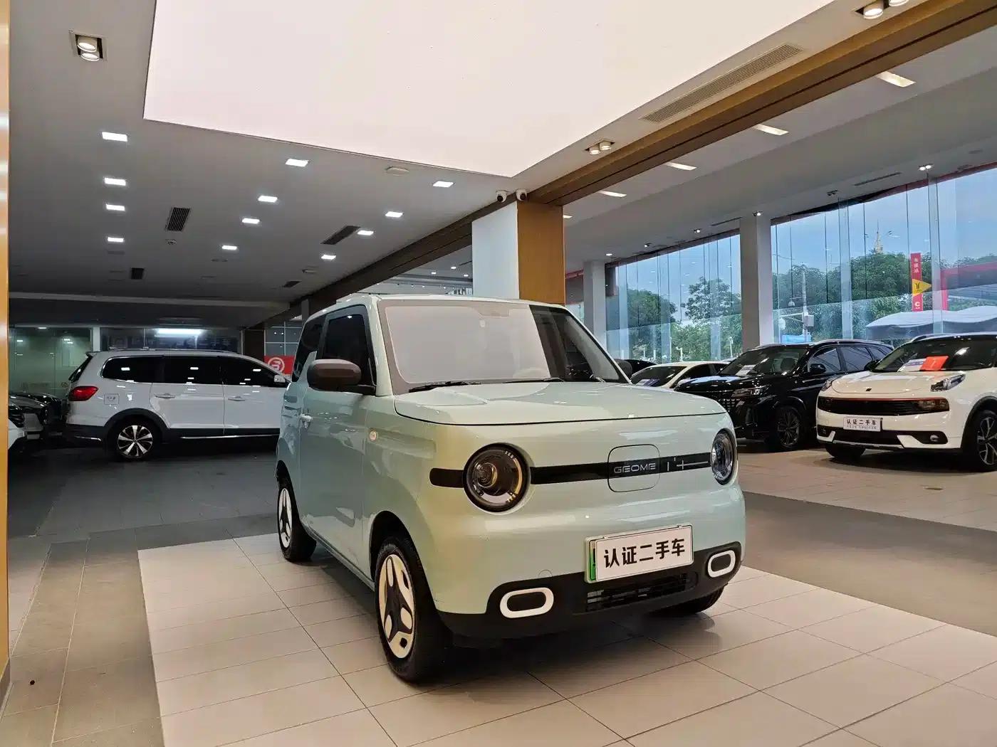 Panda 2025 Panda Mini 210km - Energetic Bear — миниатюра 5