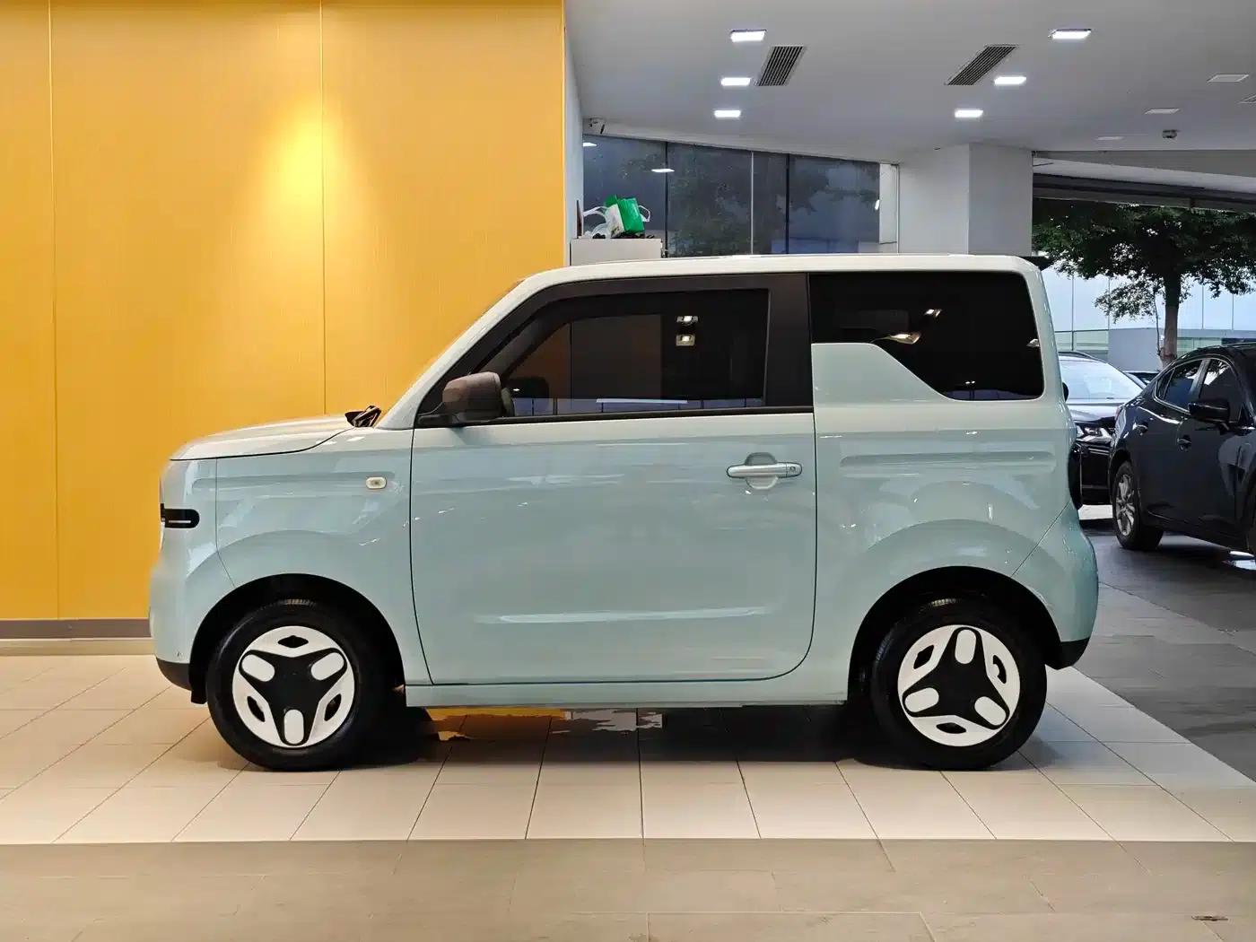 Panda 2025 Panda Mini 210km - Energetic Bear — миниатюра 7