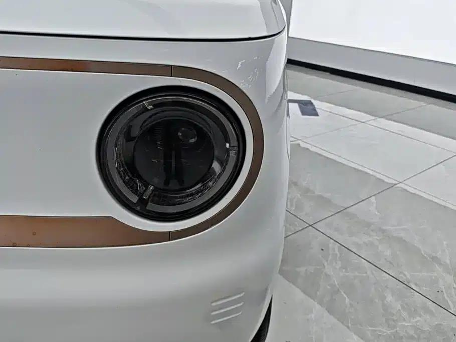 Panda 2023 Panda Mini 200km Endurance Bear — миниатюра 5