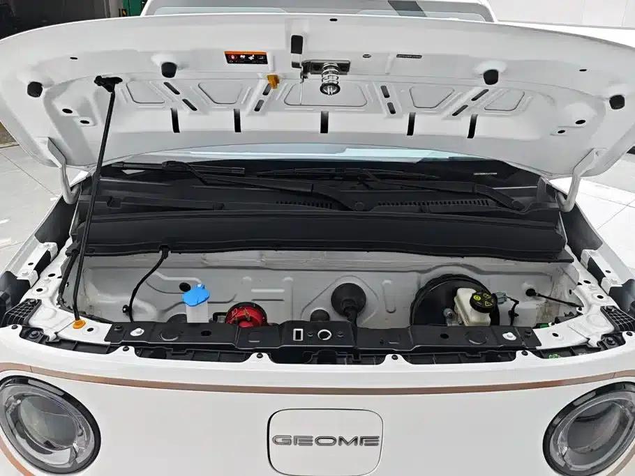 Panda 2023 Panda Mini 200km Endurance Bear — миниатюра 10