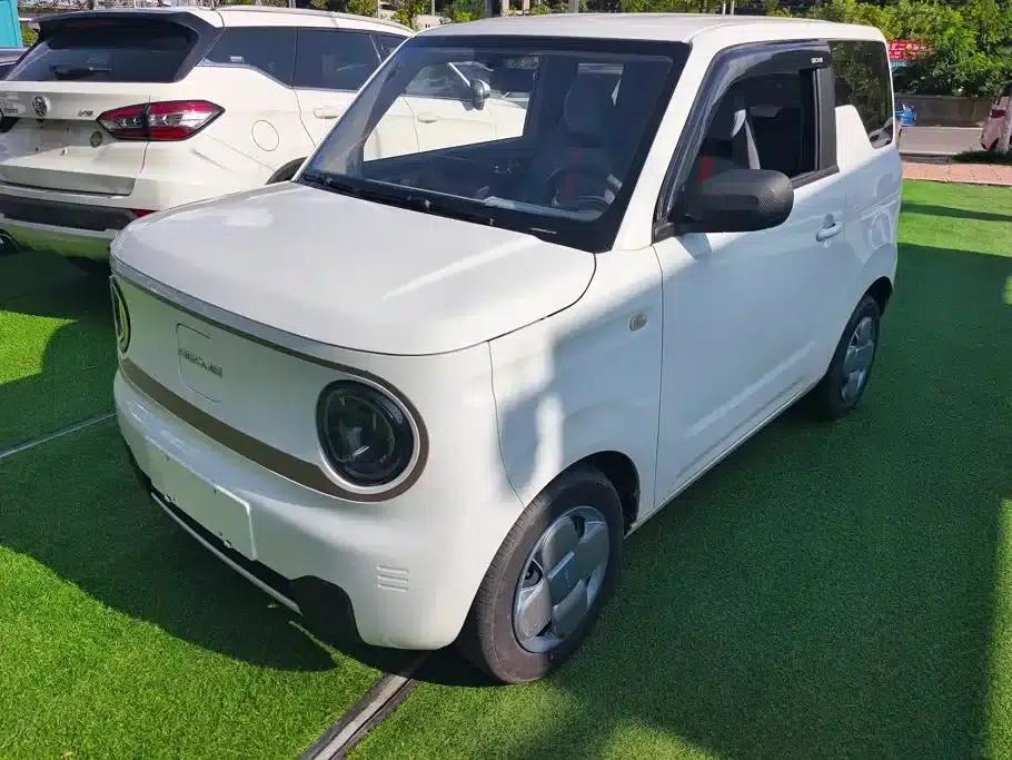 Panda 2023 Panda Mini 200km Endurance Bear — миниатюра 1