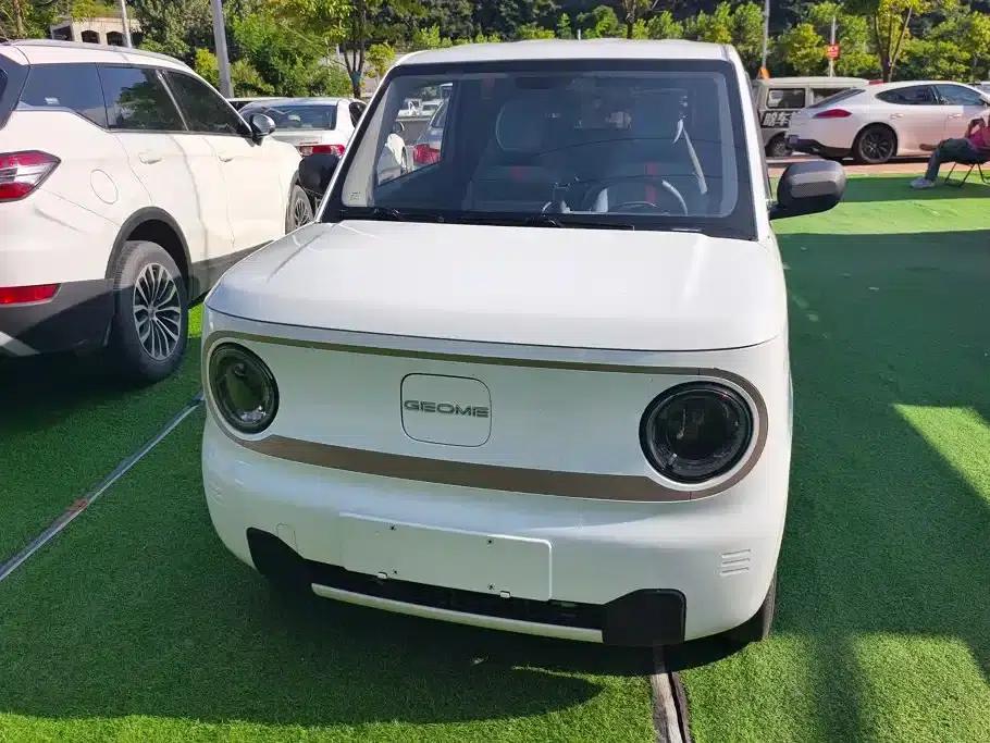 Panda 2023 Panda Mini 200km Endurance Bear — миниатюра 2