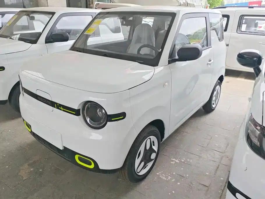 Panda 2025 Panda Mini 210km - Energetic Bear — миниатюра 1