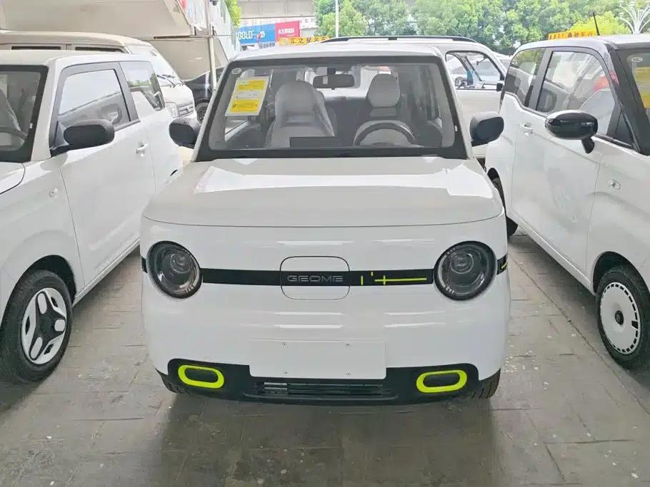 Panda 2025 Panda Mini 210km - Energetic Bear — миниатюра 2