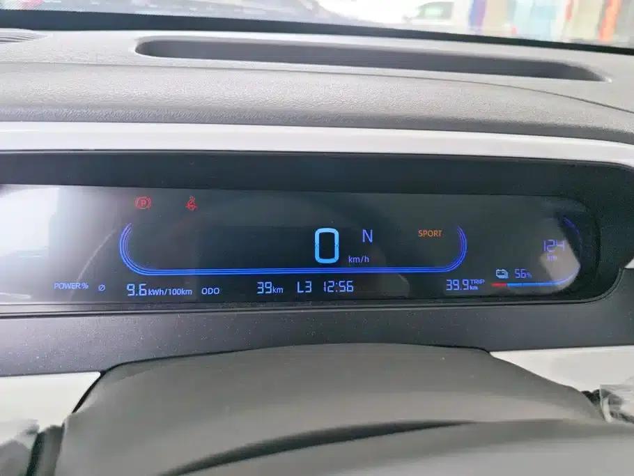 Panda 2025 Panda Mini 210km - Energetic Bear — миниатюра 14