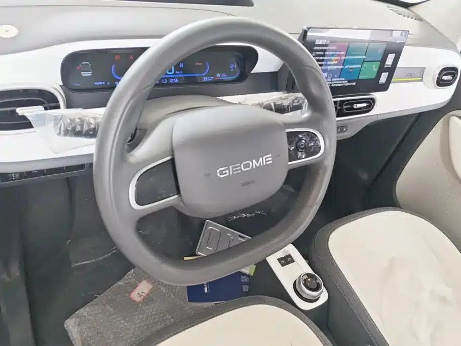 Panda 2025 Panda Mini 210km - Energetic Bear — миниатюра 15
