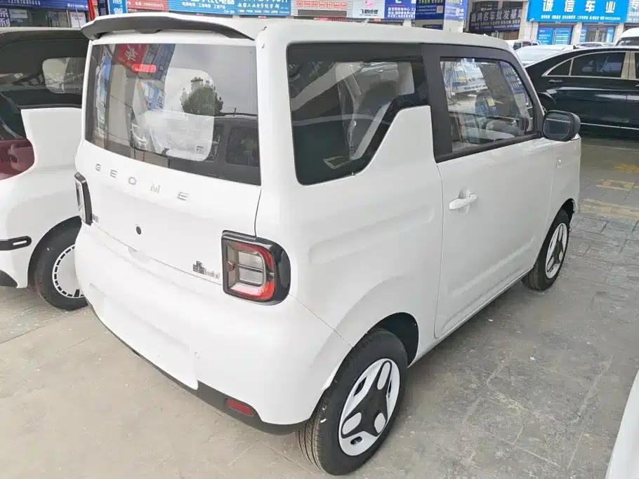 Panda 2025 Panda Mini 210km - Energetic Bear — миниатюра 3