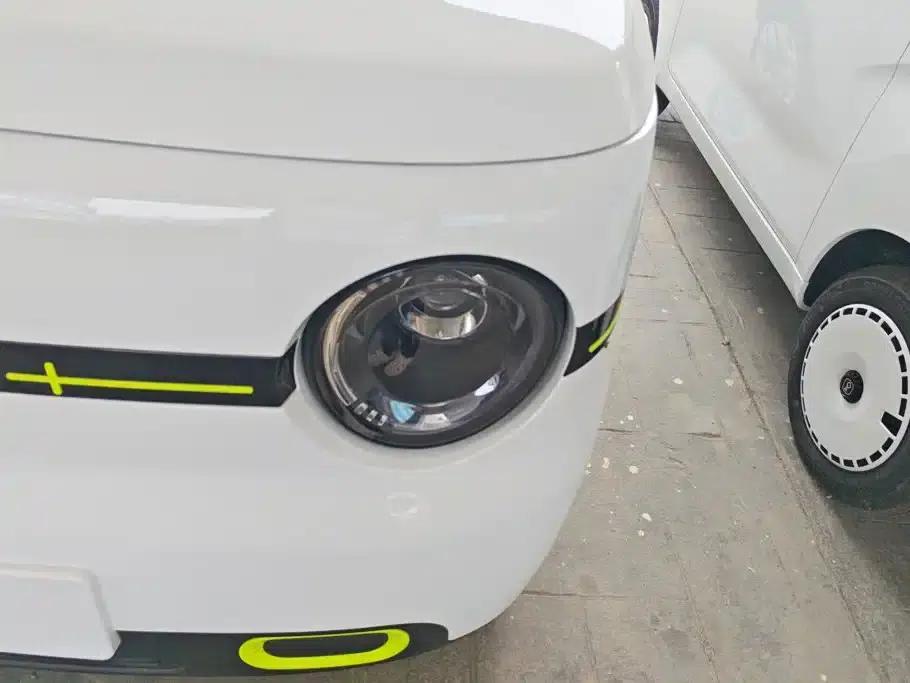 Panda 2025 Panda Mini 210km - Energetic Bear — миниатюра 5