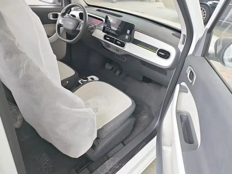 Panda 2025 Panda Mini 210km - Energetic Bear — миниатюра 8