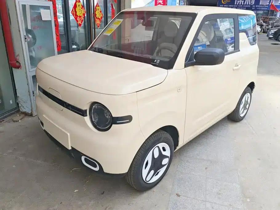 Panda 2025 Panda Mini 210km - Energetic Bear — миниатюра 1