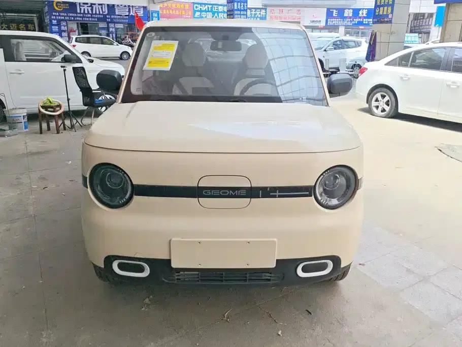 Panda 2025 Panda Mini 210km - Energetic Bear — миниатюра 2