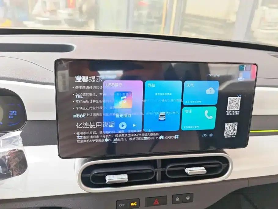 Panda 2025 Panda Mini 210km - Energetic Bear — миниатюра 13