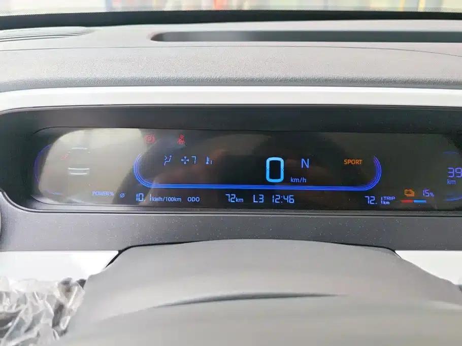 Panda 2025 Panda Mini 210km - Energetic Bear — миниатюра 14