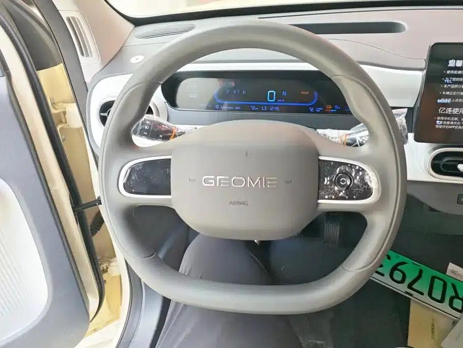 Panda 2025 Panda Mini 210km - Energetic Bear — миниатюра 15