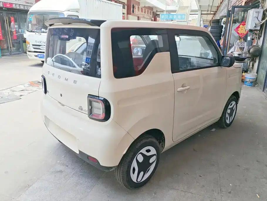 Panda 2025 Panda Mini 210km - Energetic Bear — миниатюра 3