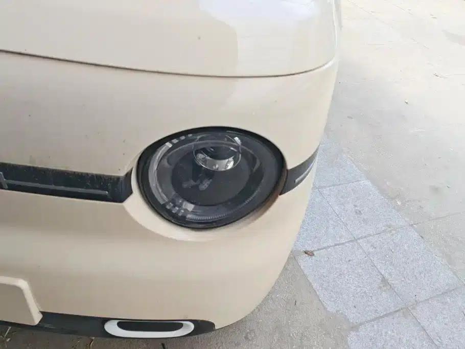 Panda 2025 Panda Mini 210km - Energetic Bear — миниатюра 5
