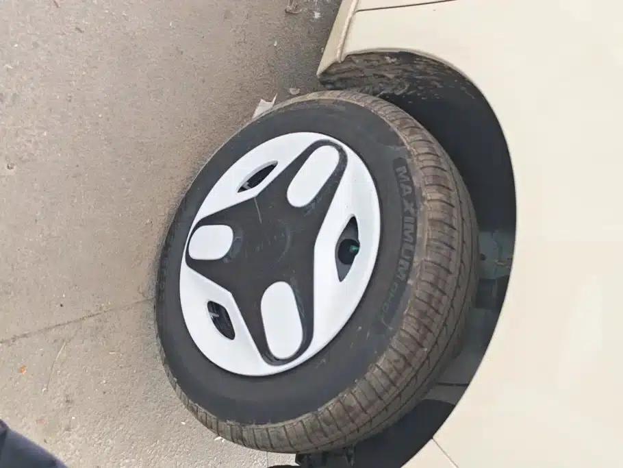 Panda 2025 Panda Mini 210km - Energetic Bear — миниатюра 6