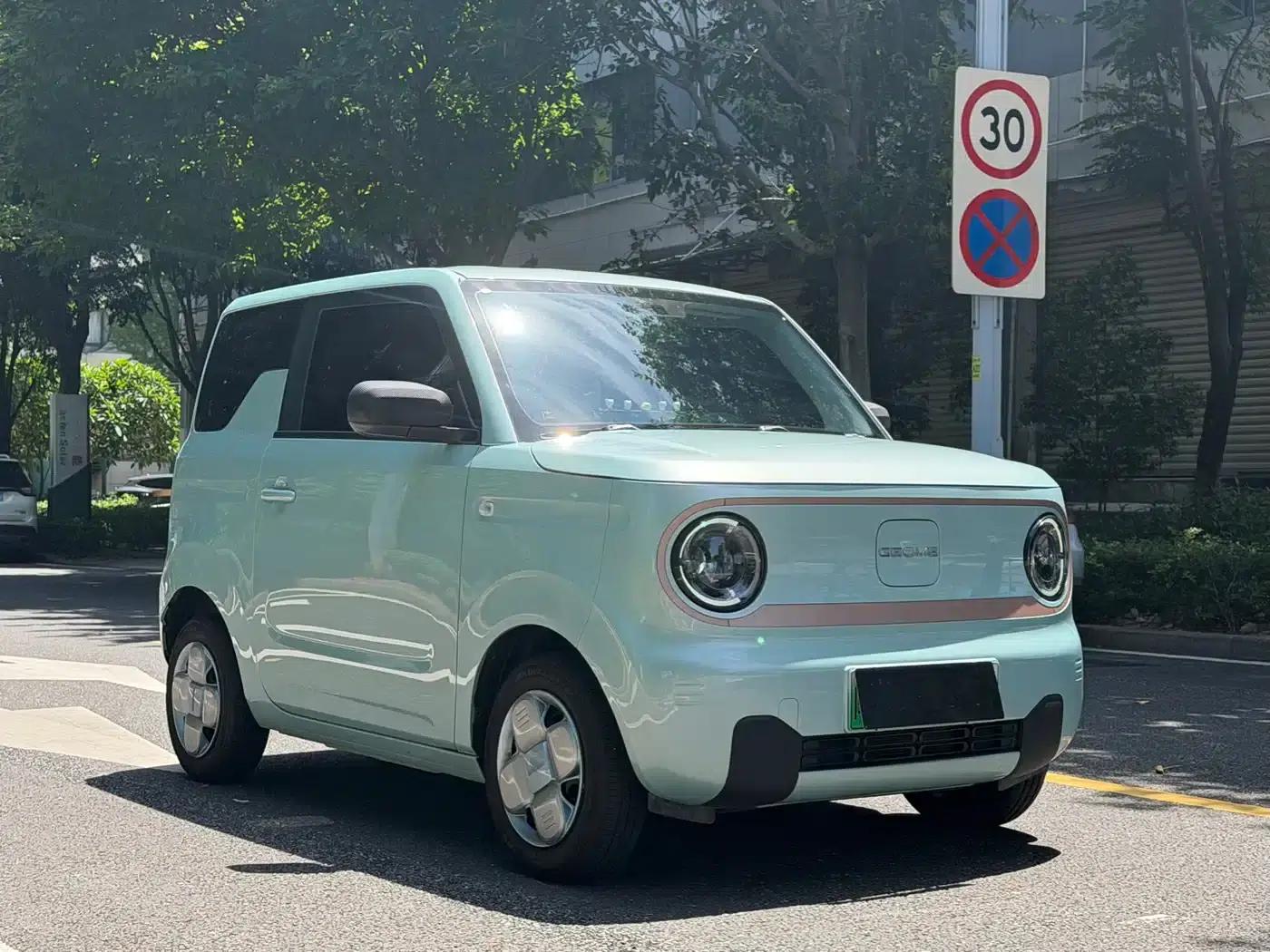 Panda 2024 Panda Mini 200km Dragon Edition — миниатюра 3