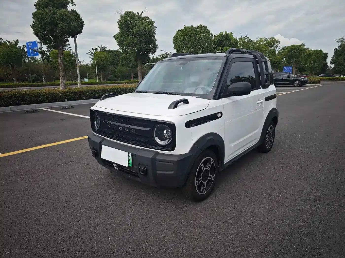 Panda 2025 Model 210km Panda Rider — миниатюра 1