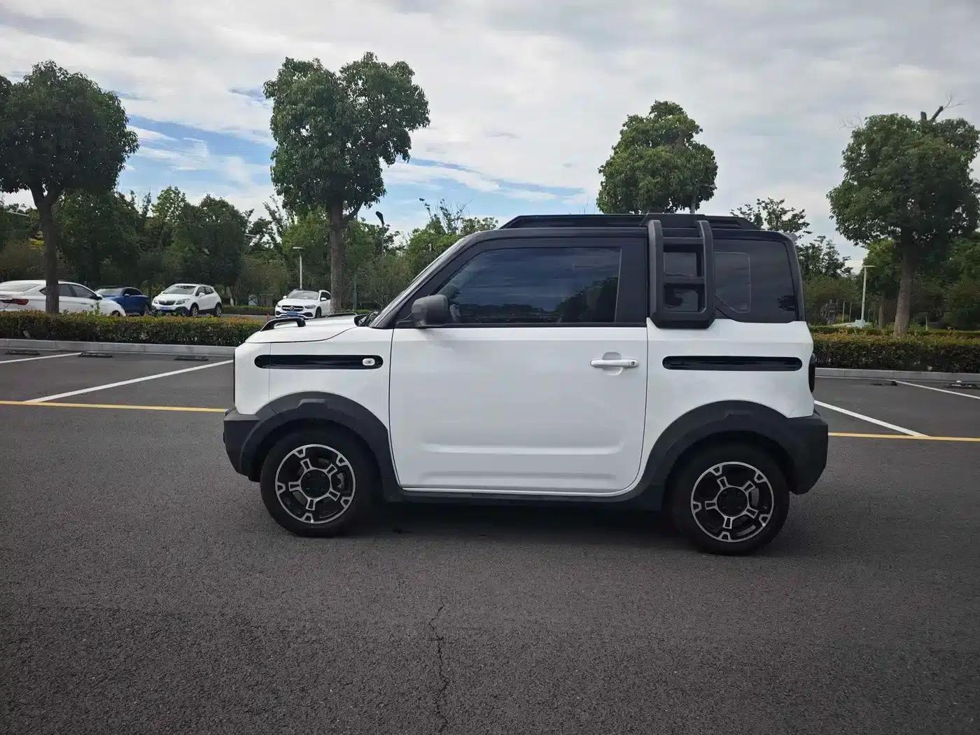 Panda 2025 Model 210km Panda Rider — миниатюра 4