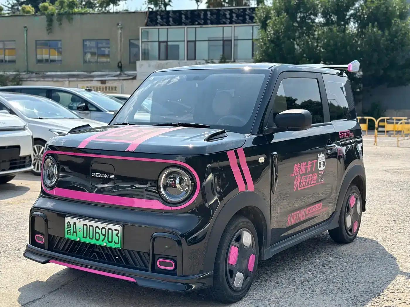 Panda 2025 Model 210km Panda Gokart — миниатюра 1