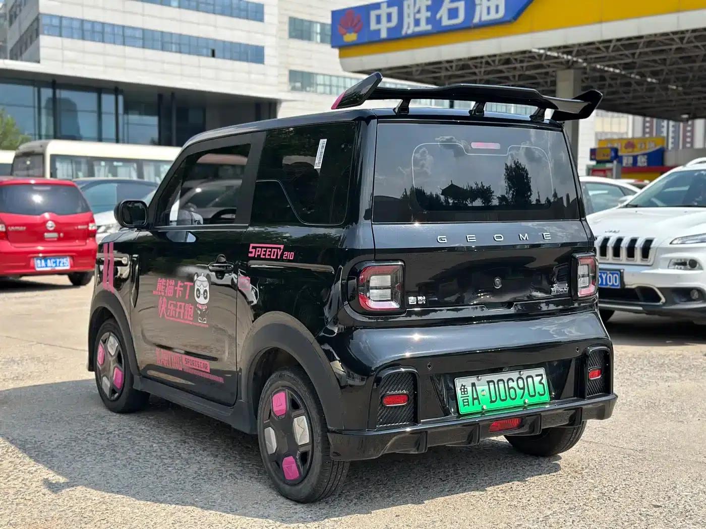 Panda 2025 Model 210km Panda Gokart — миниатюра 6