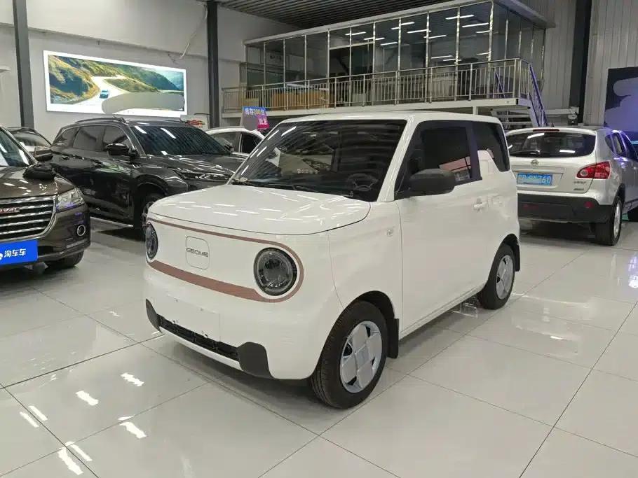 Panda 2024 Panda Mini 200km Endurance Bear — миниатюра 1