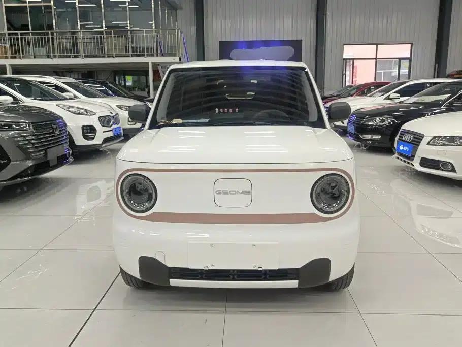 Panda 2024 Panda Mini 200km Endurance Bear — миниатюра 2