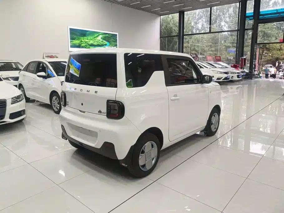 Panda 2024 Panda Mini 200km Endurance Bear — миниатюра 3