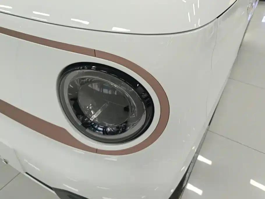 Panda 2024 Panda Mini 200km Endurance Bear — миниатюра 5