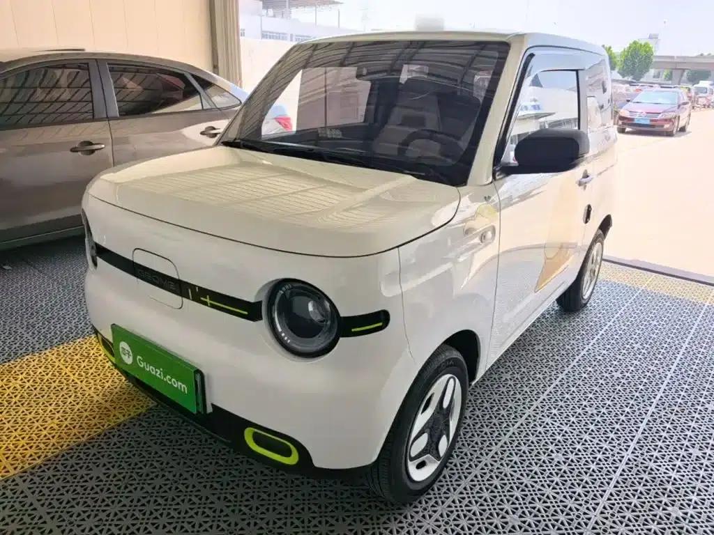 Panda 2025 Panda Mini 210km - Energetic Bear — миниатюра 1