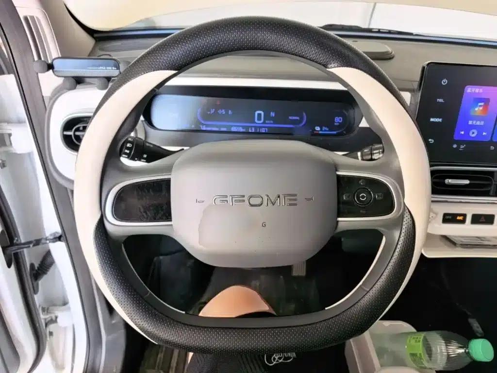 Panda 2025 Panda Mini 210km - Energetic Bear — миниатюра 11