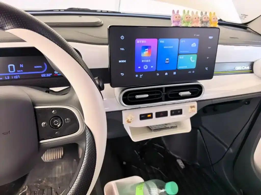 Panda 2025 Panda Mini 210km - Energetic Bear — миниатюра 13