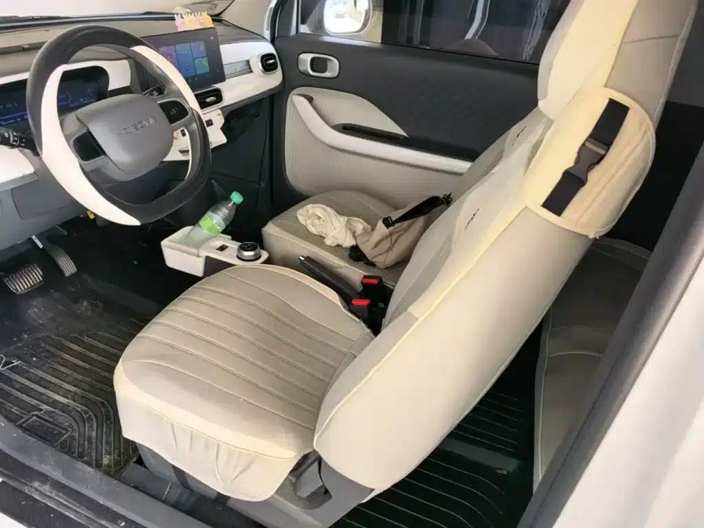 Panda 2025 Panda Mini 210km - Energetic Bear — миниатюра 15