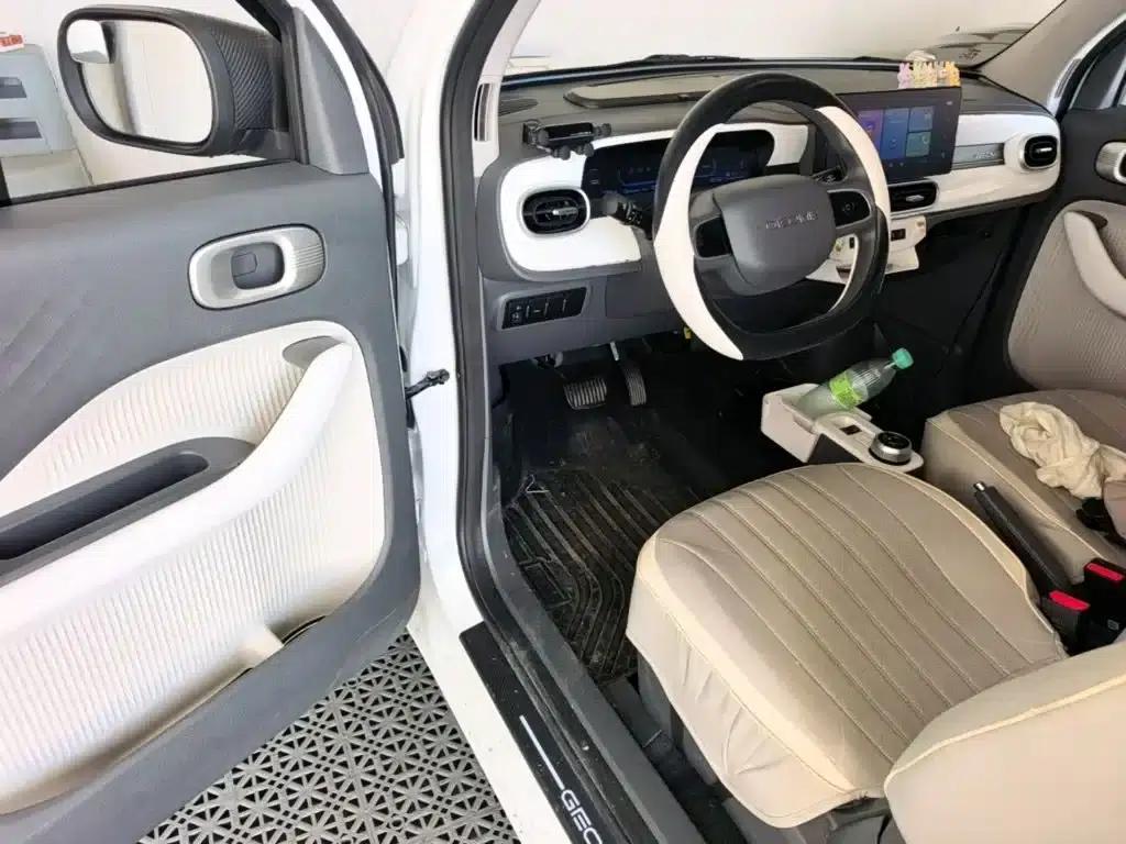 Panda 2025 Panda Mini 210km - Energetic Bear — миниатюра 16