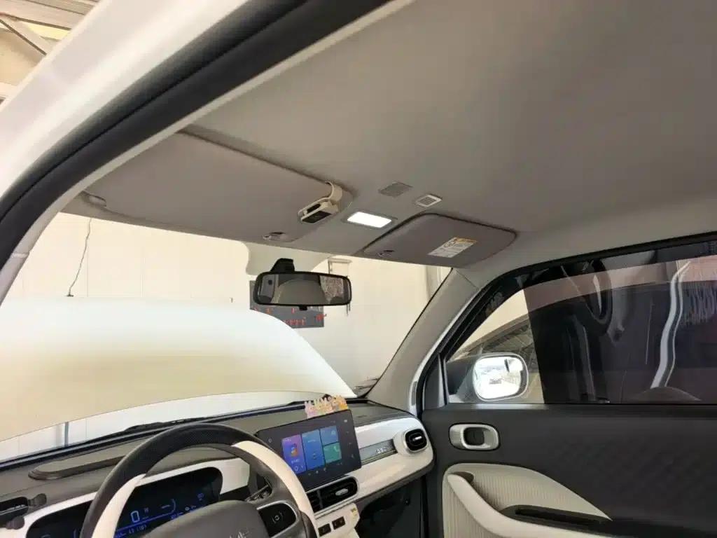 Panda 2025 Panda Mini 210km - Energetic Bear — миниатюра 18