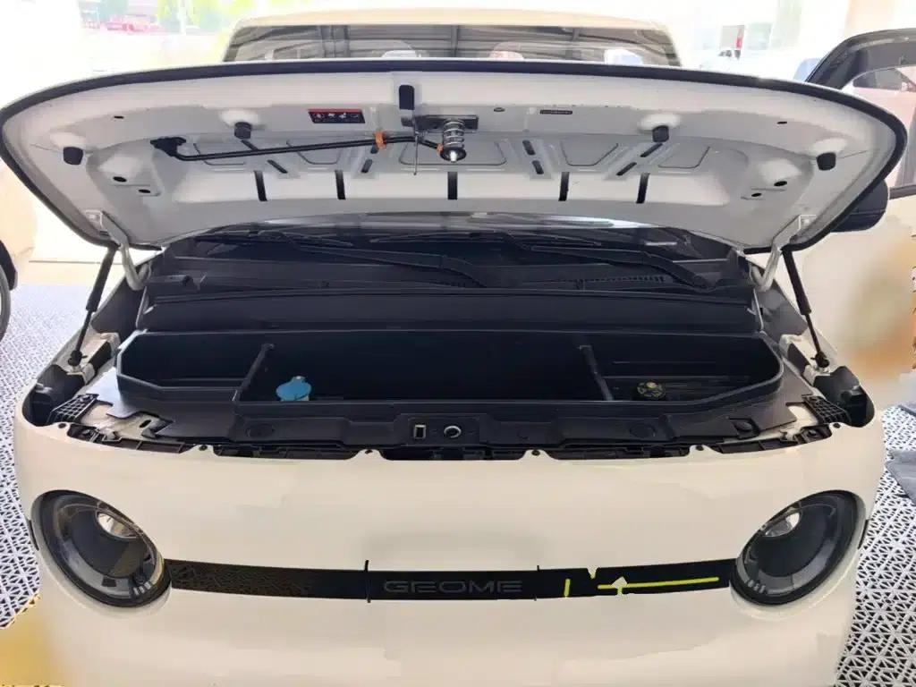 Panda 2025 Panda Mini 210km - Energetic Bear — миниатюра 20
