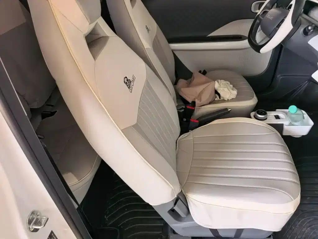 Panda 2025 Panda Mini 210km - Energetic Bear — миниатюра 25