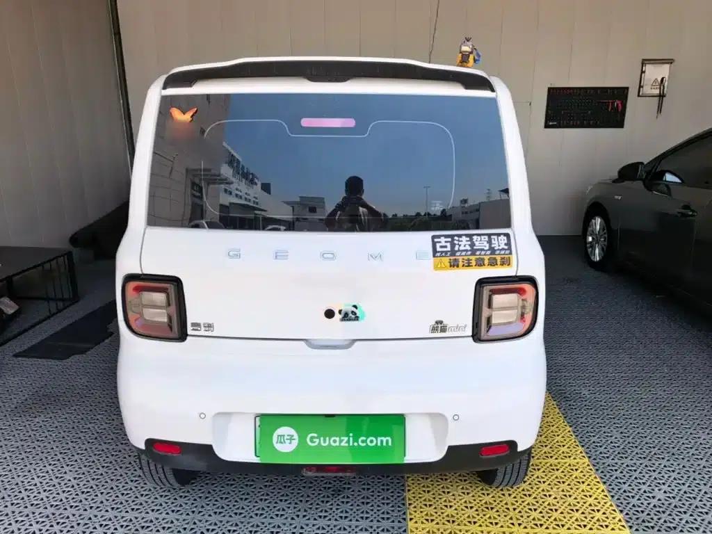 Panda 2025 Panda Mini 210km - Energetic Bear — миниатюра 6