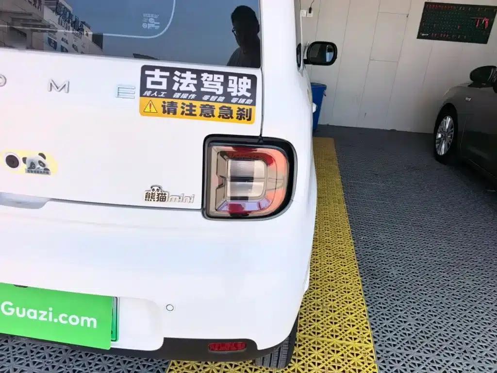 Panda 2025 Panda Mini 210km - Energetic Bear — миниатюра 8