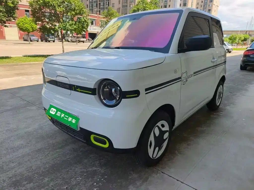 Panda 2025 Panda Mini 210km - Energetic Bear — миниатюра 2