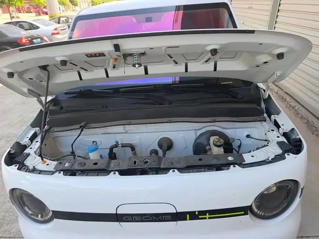 Panda 2025 Panda Mini 210km - Energetic Bear — миниатюра 20
