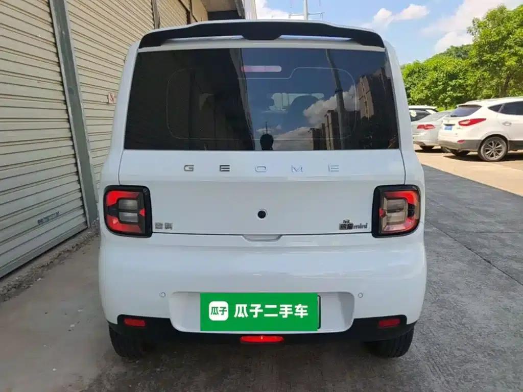 Panda 2025 Panda Mini 210km - Energetic Bear — миниатюра 6