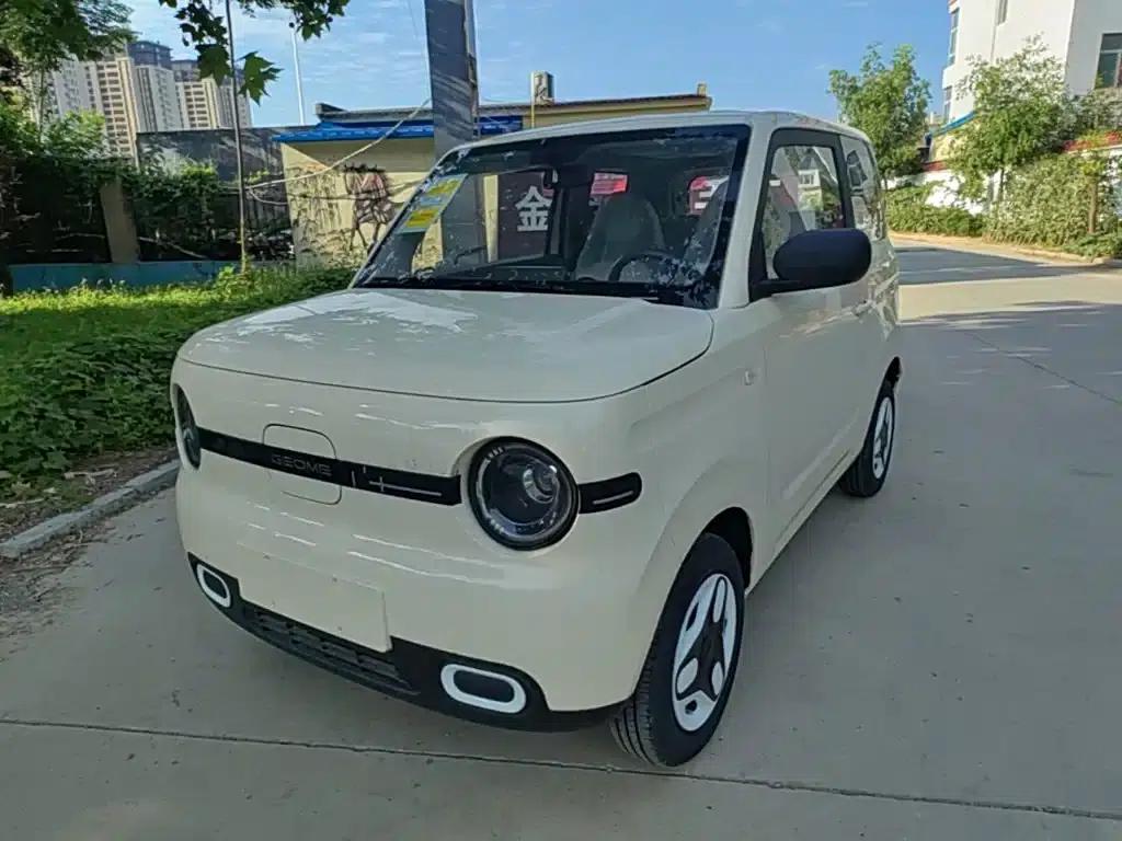 Panda 2025 Panda Mini 210km - Energetic Bear — миниатюра 2