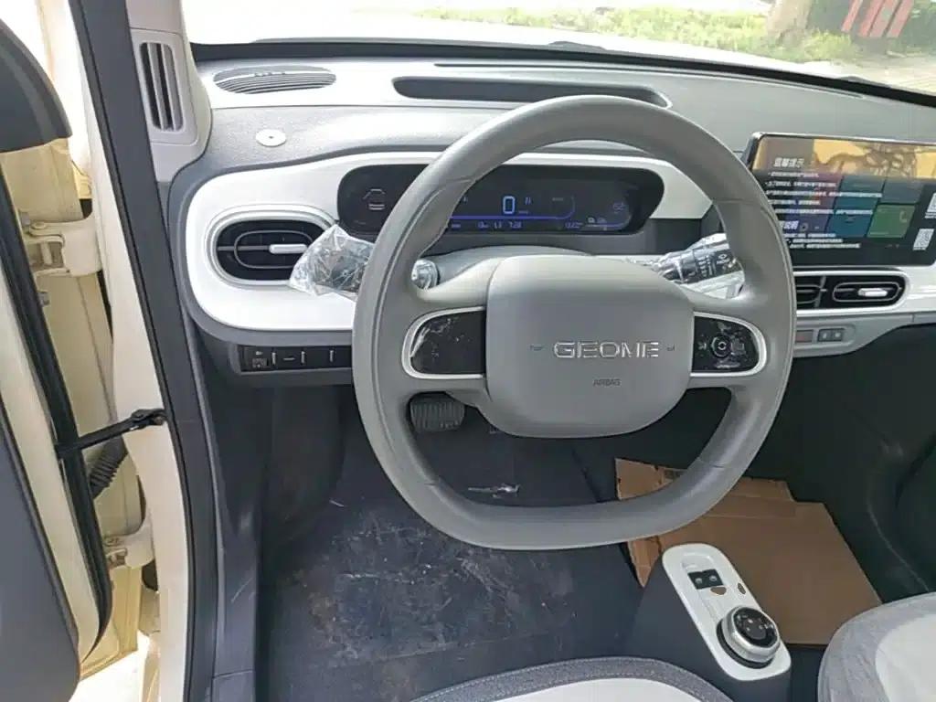 Panda 2025 Panda Mini 210km - Energetic Bear — миниатюра 11