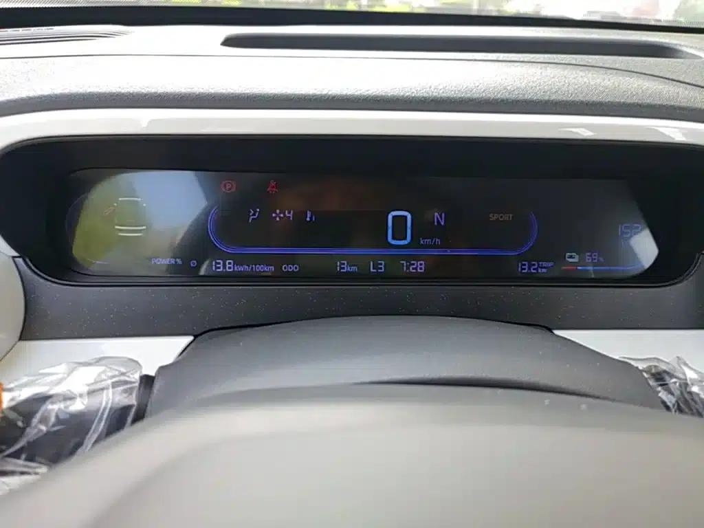 Panda 2025 Panda Mini 210km - Energetic Bear — миниатюра 12