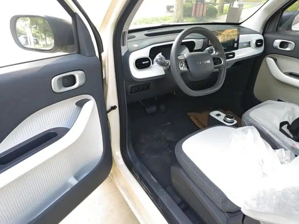 Panda 2025 Panda Mini 210km - Energetic Bear — миниатюра 16