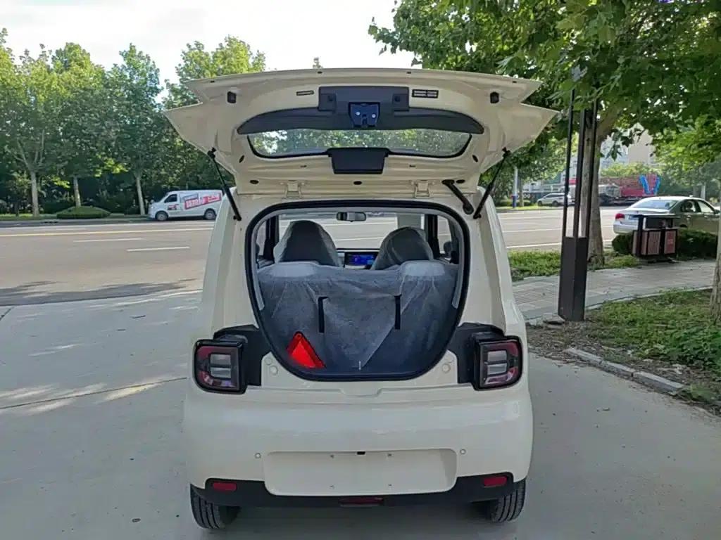 Panda 2025 Panda Mini 210km - Energetic Bear — миниатюра 19
